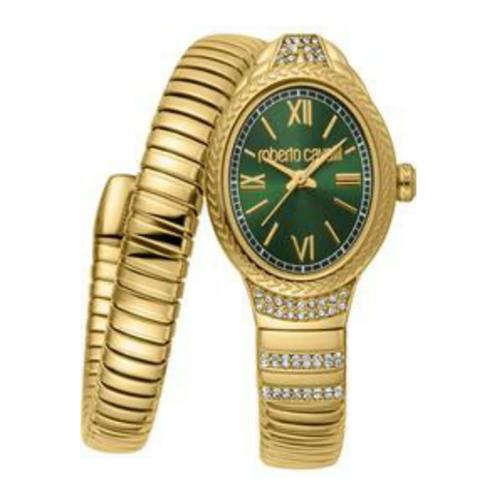 Roberto Cavalli orologio RC5L151M0045