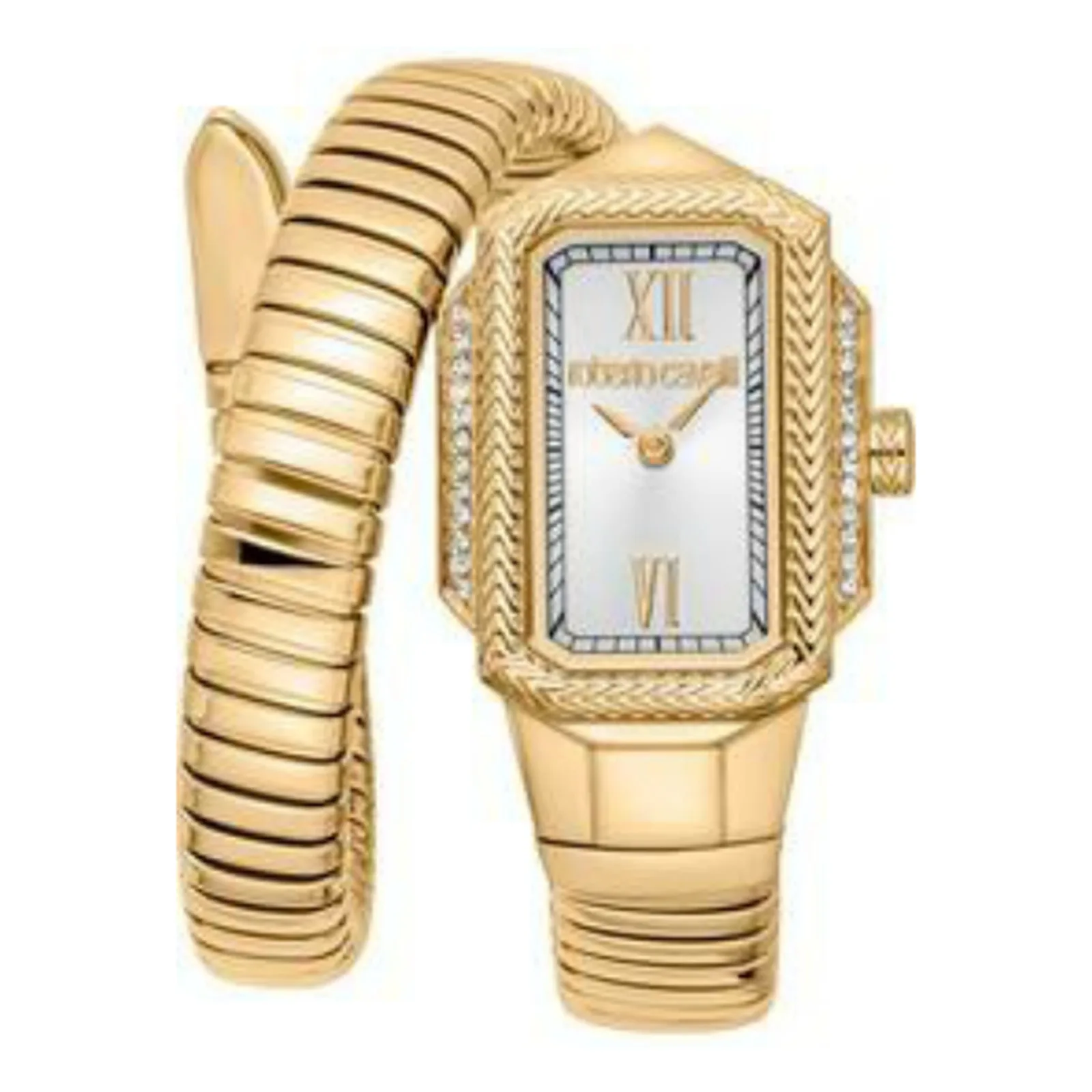 Roberto Cavalli orologio RC5L115M0035