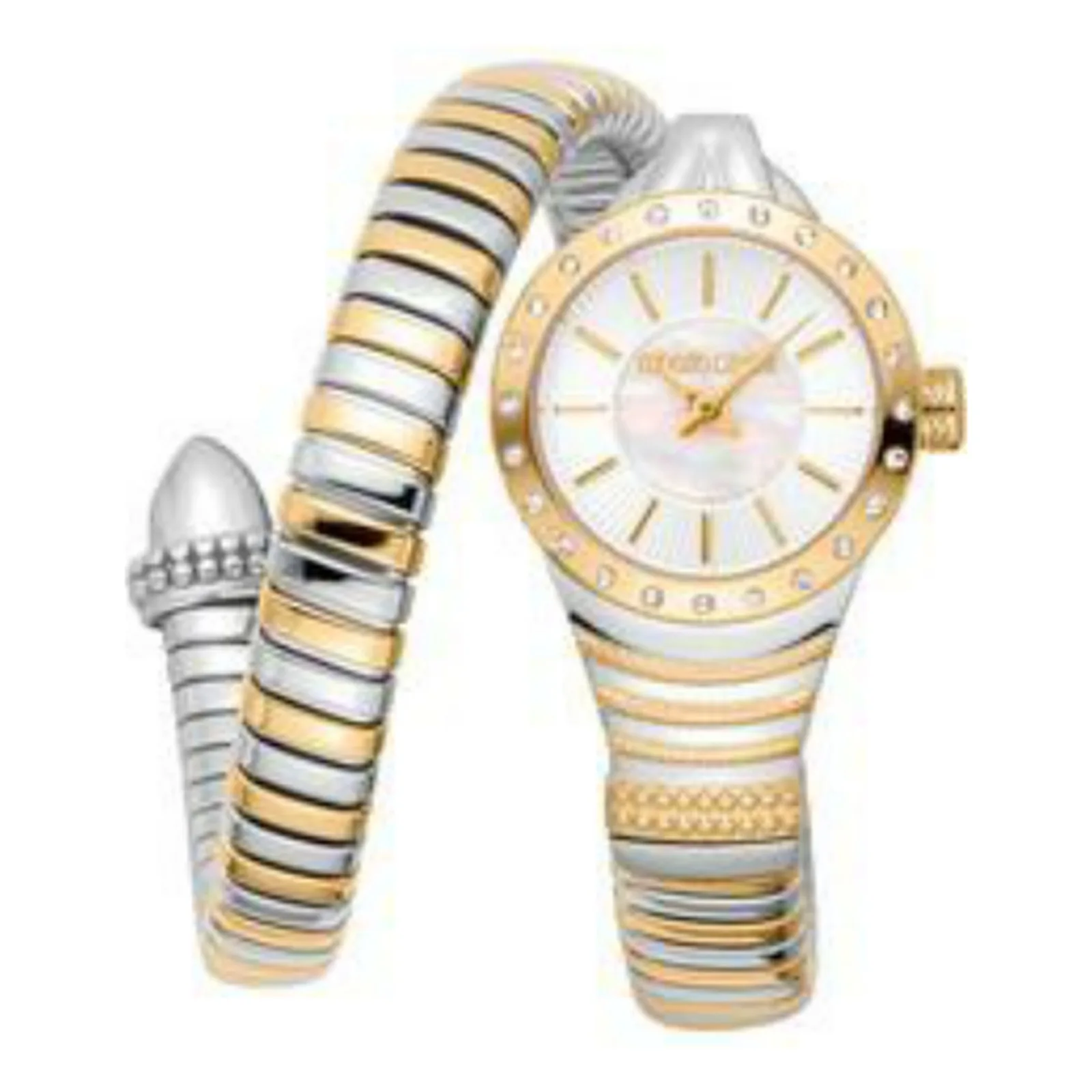 Roberto Cavalli orologio RC5L114M0065