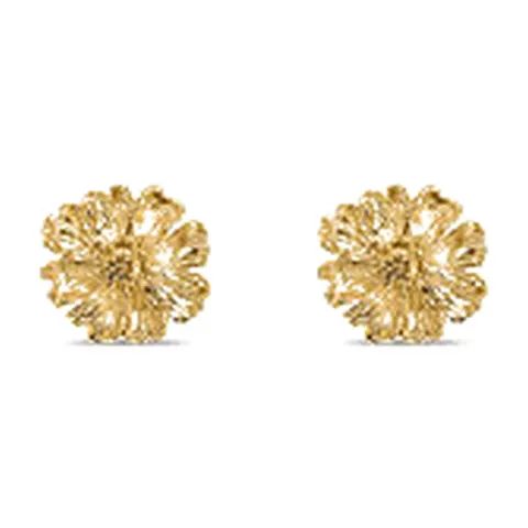Stroili Radiance Collection Orecchini lobo dorati con fiore Acciaio 1697585