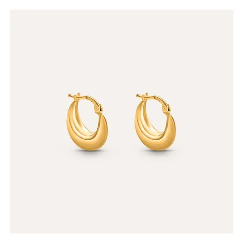 Stroili Silver Collection Orecchini dorati a cerchio bombato Argento 925 1699982