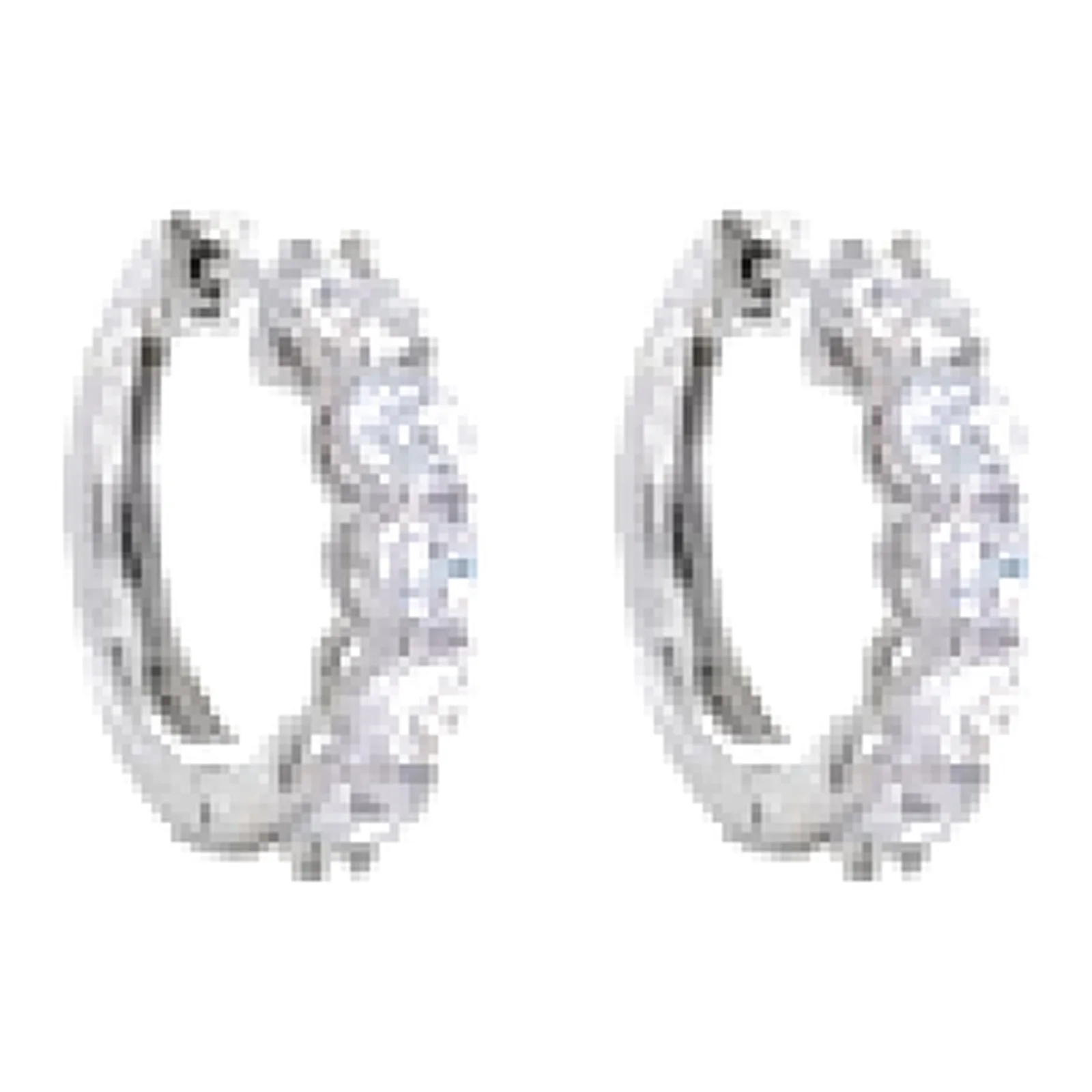 Stroili Silver Elegance Orecchini a cerchio Argento 925 1688371