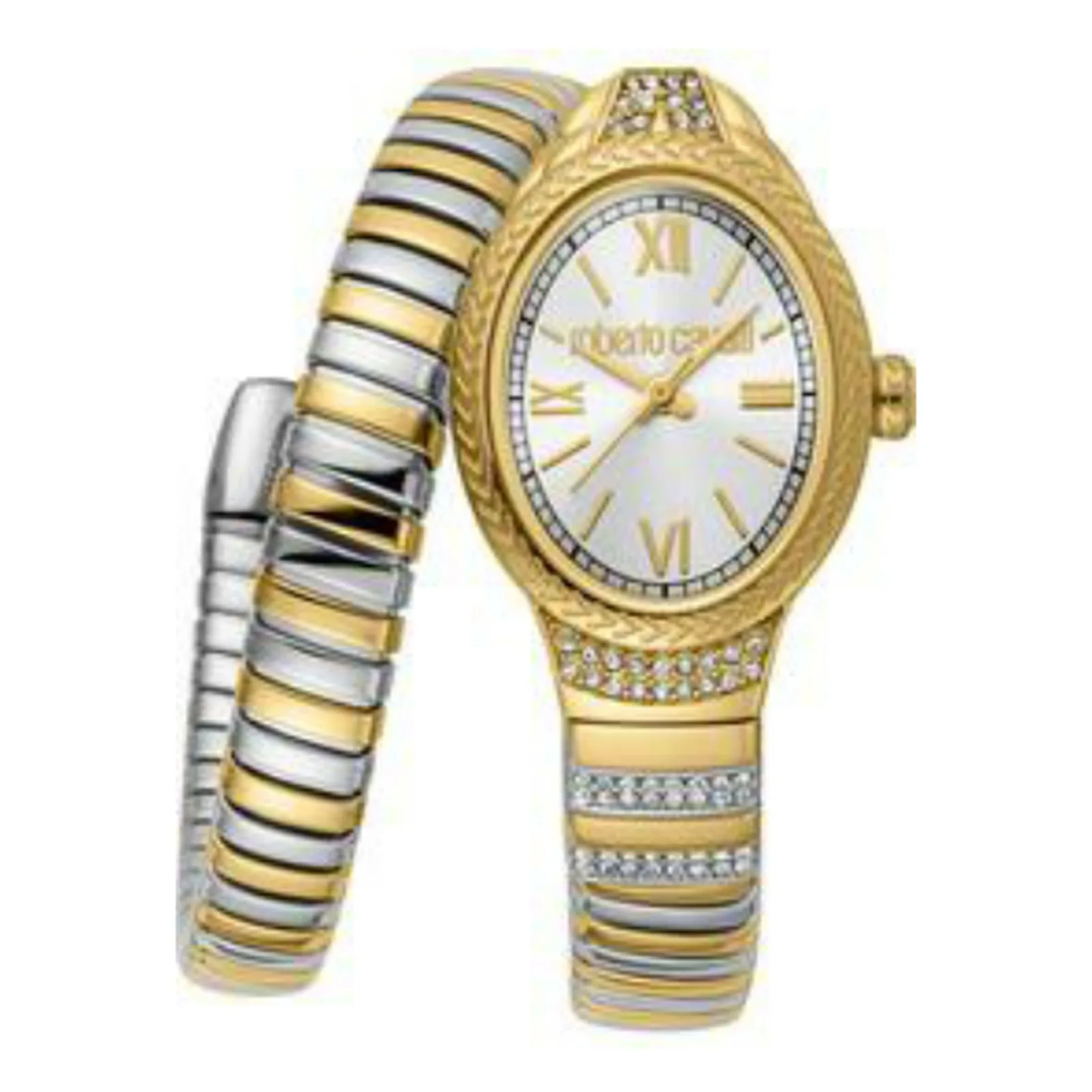 Roberto Cavalli orologio RC5L151M0065