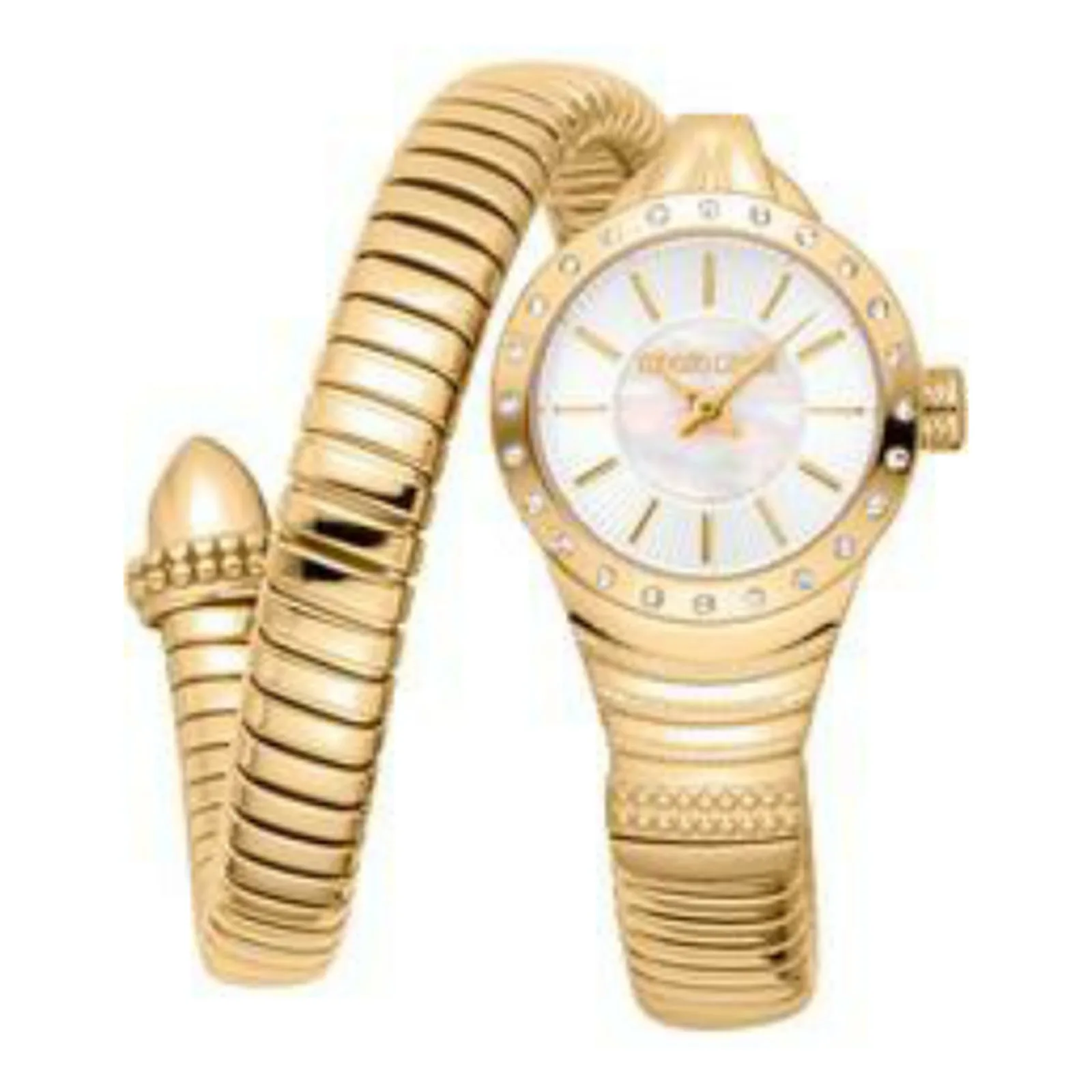 Roberto Cavalli orologio RC5L114M0025