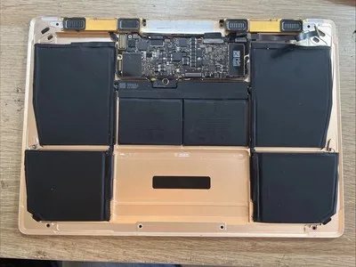 Apple Macbook 12” A1534 2991 Batteria Speakers Bottom Cover Oro A 2015