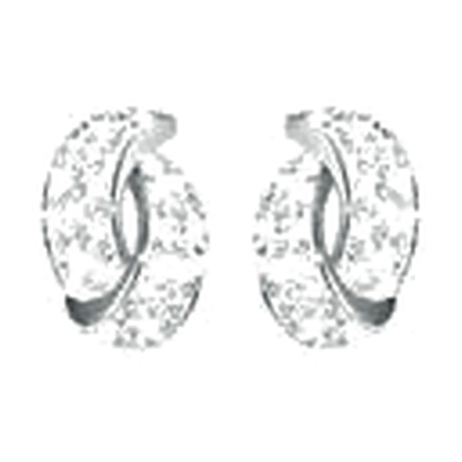 Stroili Aura Collection Orecchini lobo con cristalli Acciaio 1670600