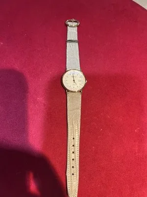 Orologio Paul Picot Geneve con scala pulsometrica - 20240523101530