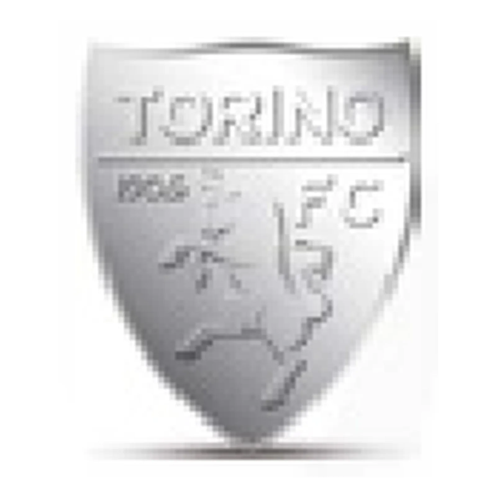 Lowell Orecchini Ufficiale Torino Acciaio 316L B-TE001DA1